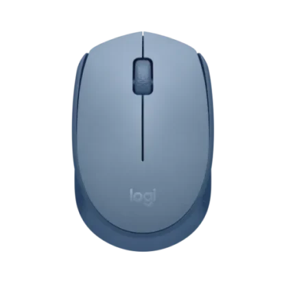 Logitech M171 Wireless Nano-receiver Mouse