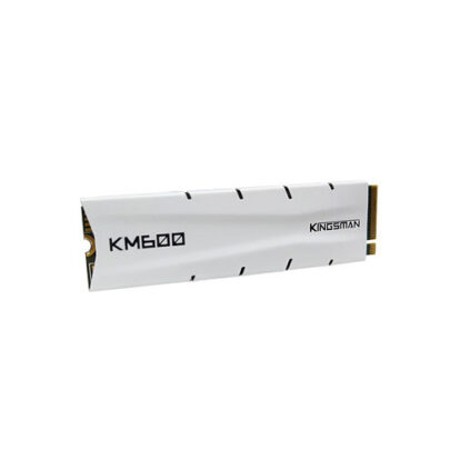 AITC KINGSMAN KM600 256GB M.2 NVMe PCIe SSD AITC KINGSMAN KM600 256GB M.2 NVMe PCIe SSD